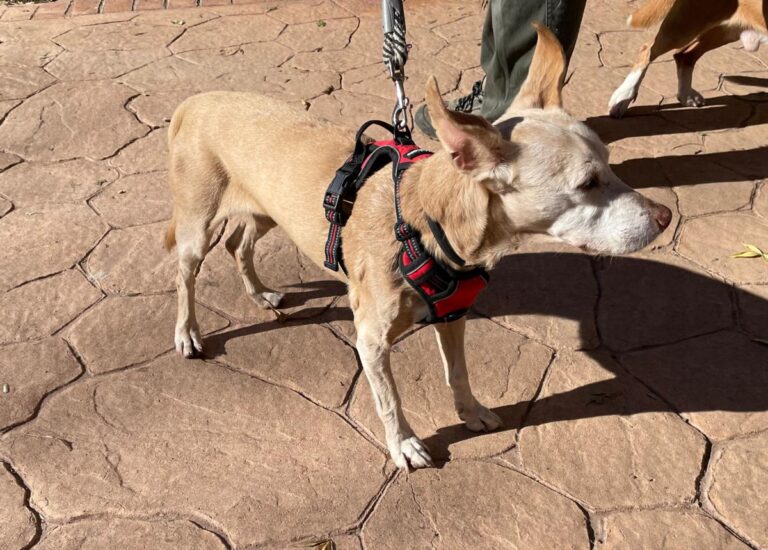 multimedia-foto86684-414-1