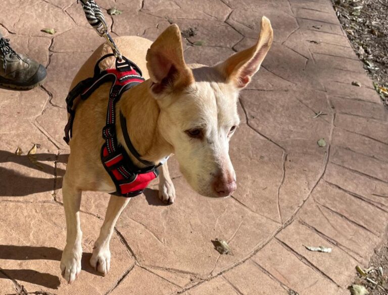 multimedia-foto86686-415-1