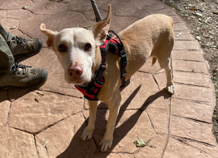 multimedia-foto86687-415-1