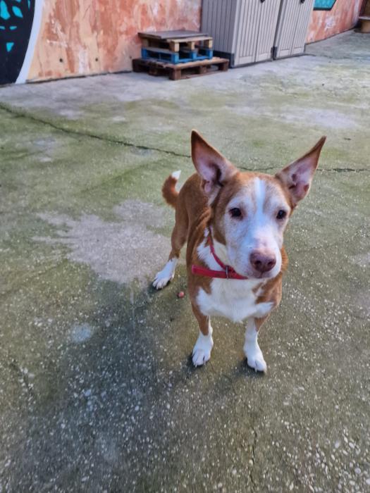 multimedia-foto86688-125-1