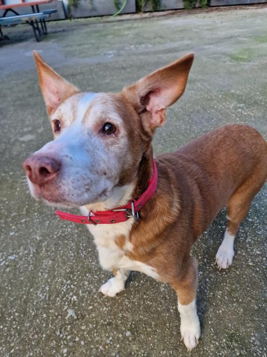 multimedia-foto86691-126-1