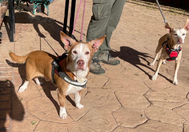 multimedia-foto86693-126-1