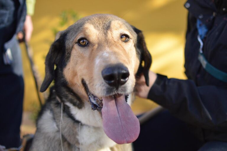 multimedia-foto86775-340-1