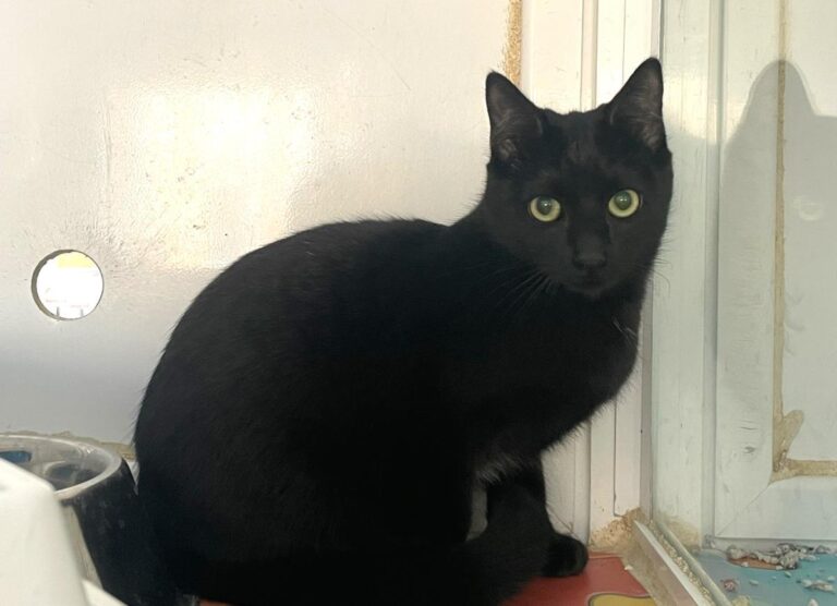 multimedia-foto86806-914-1