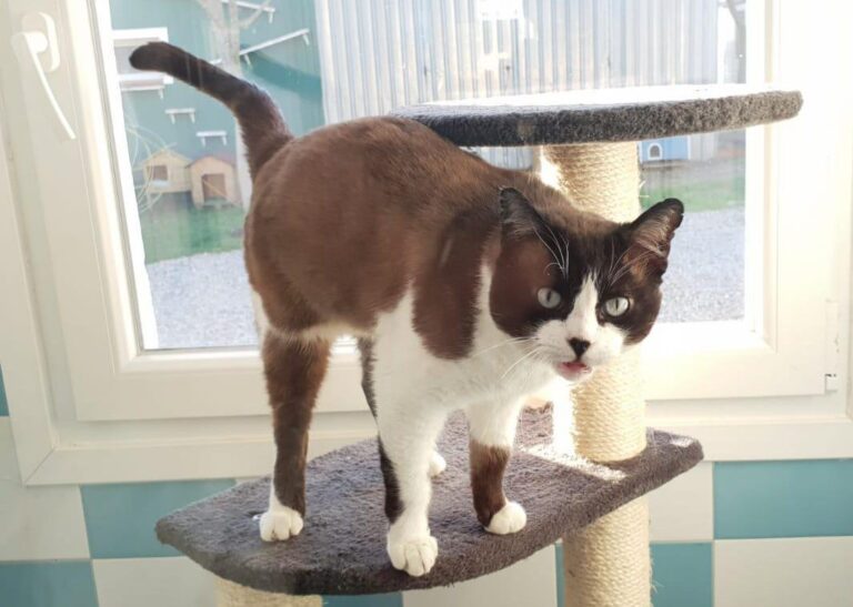 multimedia-foto86812-473-1