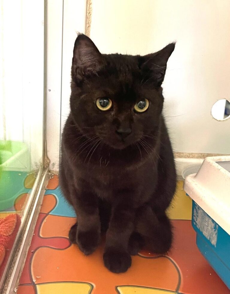 multimedia-foto86817-592-1