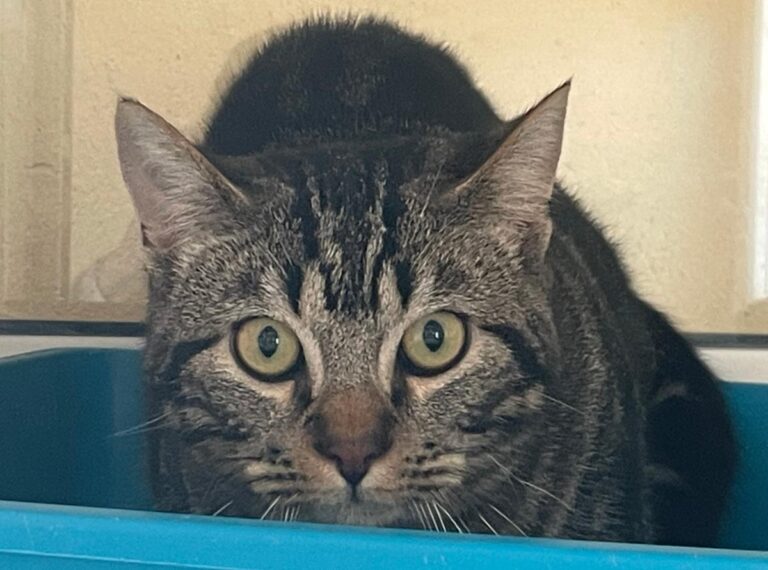 multimedia-foto86827-40-1