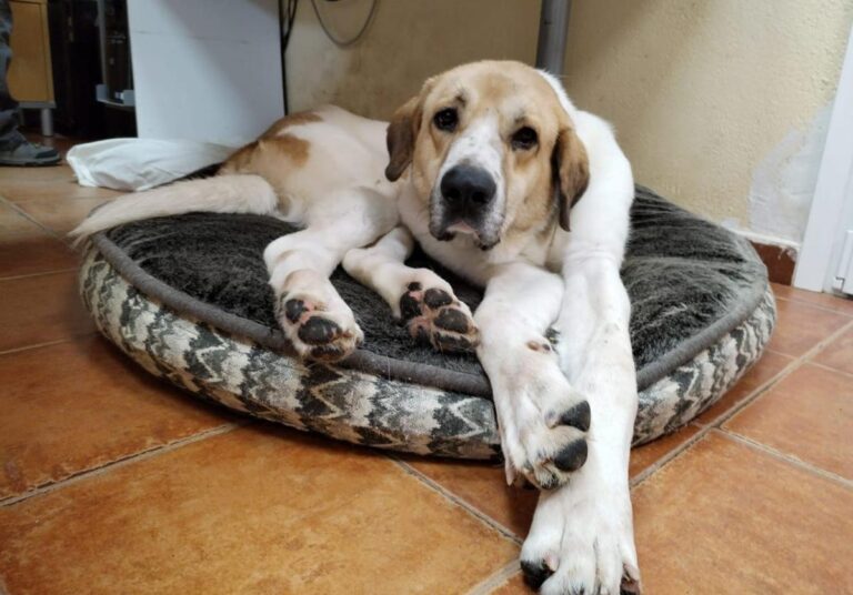 multimedia-foto86833-574-1