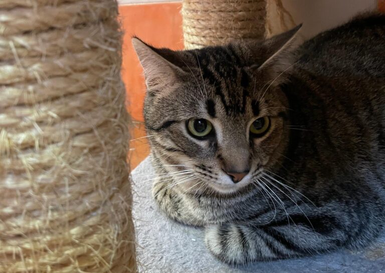 multimedia-foto86859-201-1