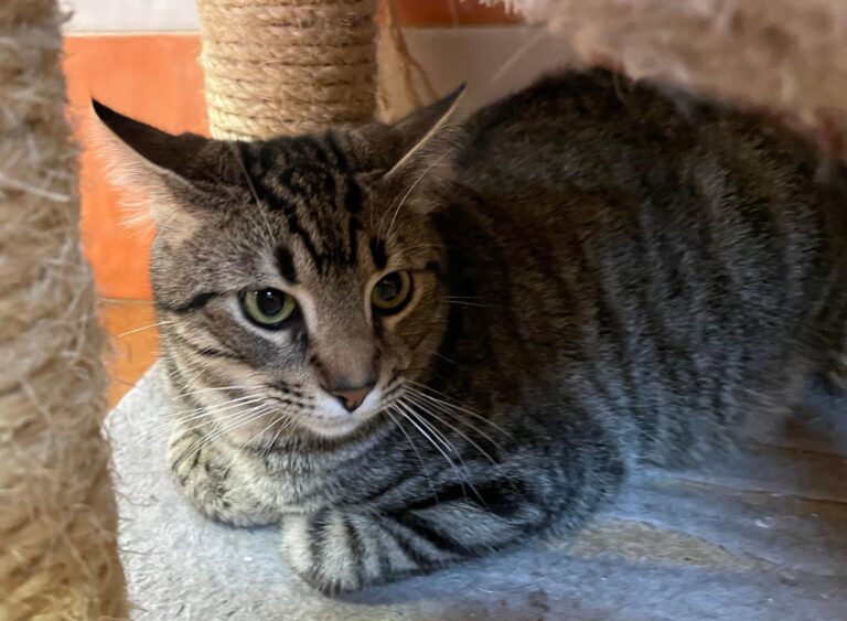 multimedia-foto86860-201-1