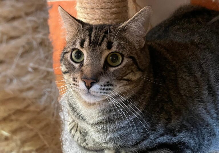 multimedia-foto86861-201-1