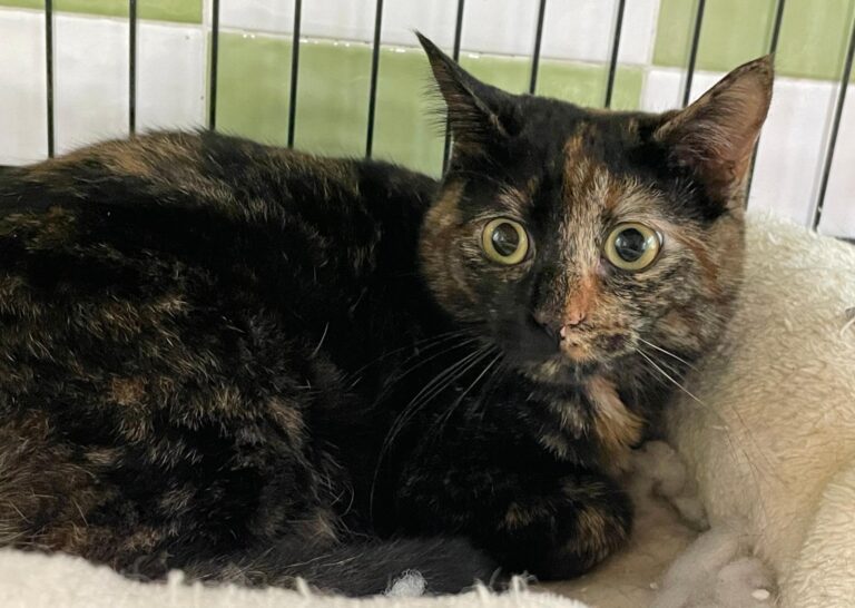 multimedia-foto86862-291-1