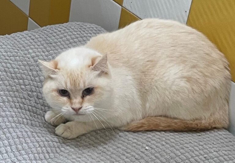 multimedia-foto86909-307-1