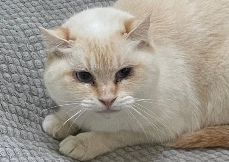 multimedia-foto86910-307-1