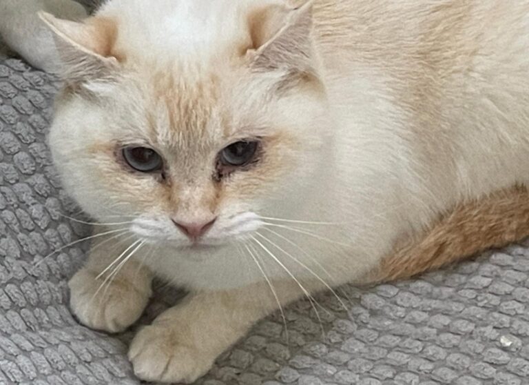 multimedia-foto86911-308-1