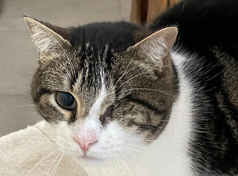 multimedia-foto86914-386-1