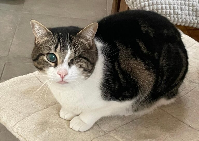 multimedia-foto86915-386-1