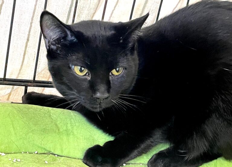 multimedia-foto86947-409-1