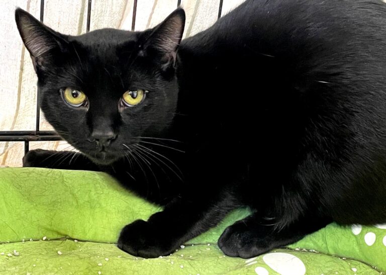 multimedia-foto86948-409-1