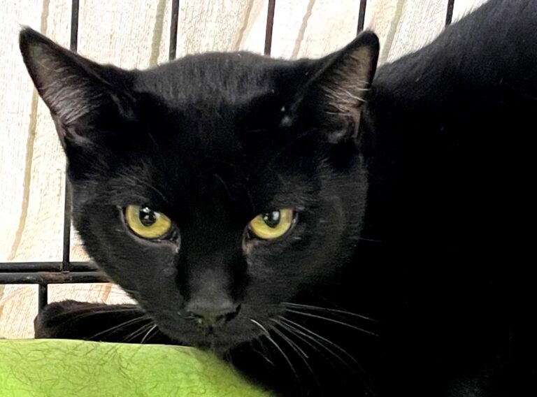 multimedia-foto86949-409-1