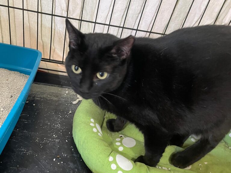 multimedia-foto86951-518-1