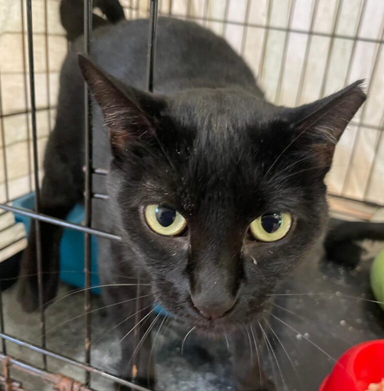 multimedia-foto86953-518-1