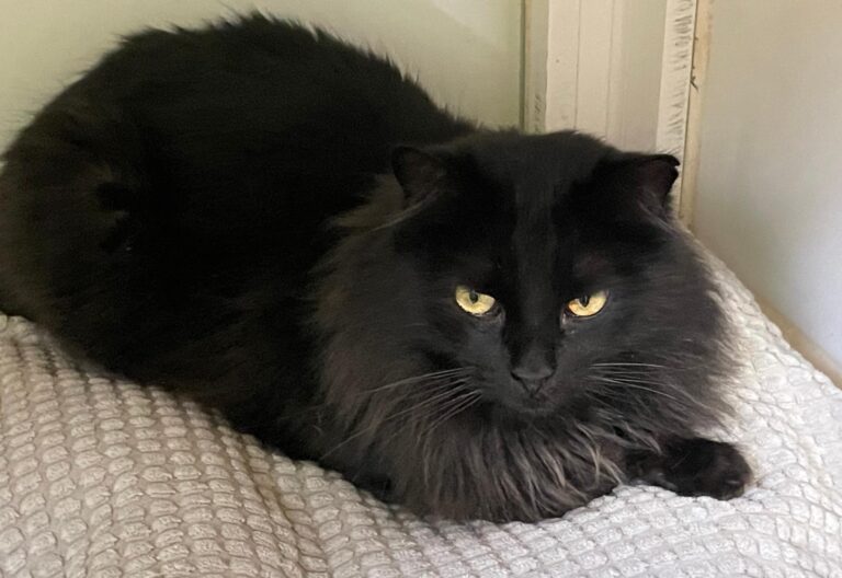 multimedia-foto86956-339-1