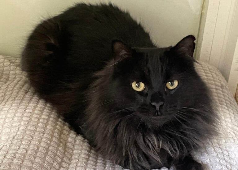 multimedia-foto86962-888-1