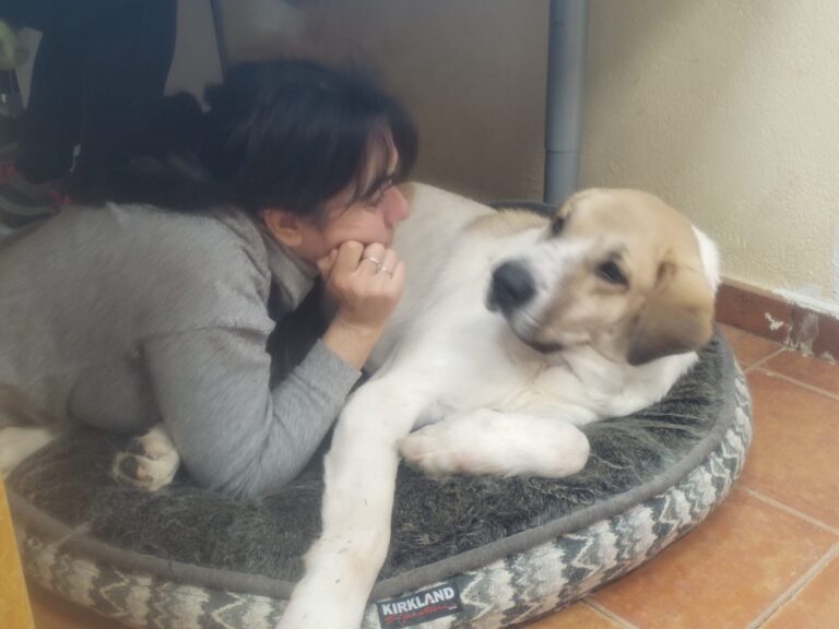 multimedia-foto86985-305-1