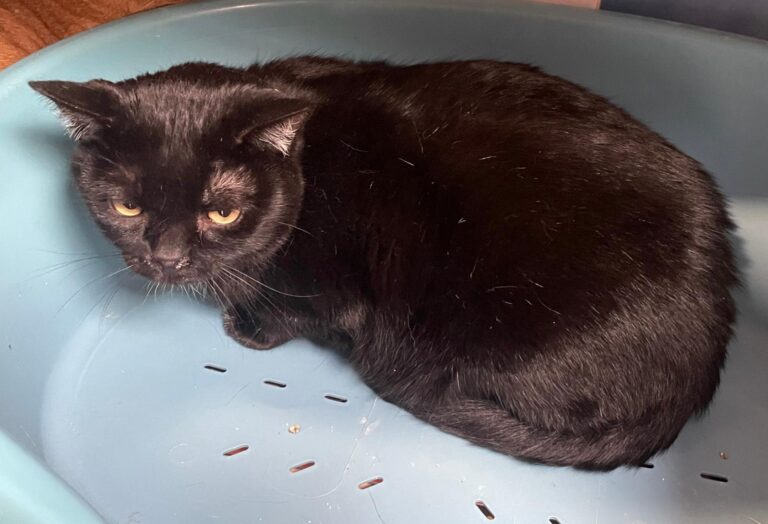 multimedia-foto87007-642-1