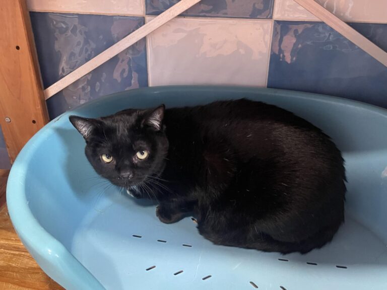 multimedia-foto87008-642-1