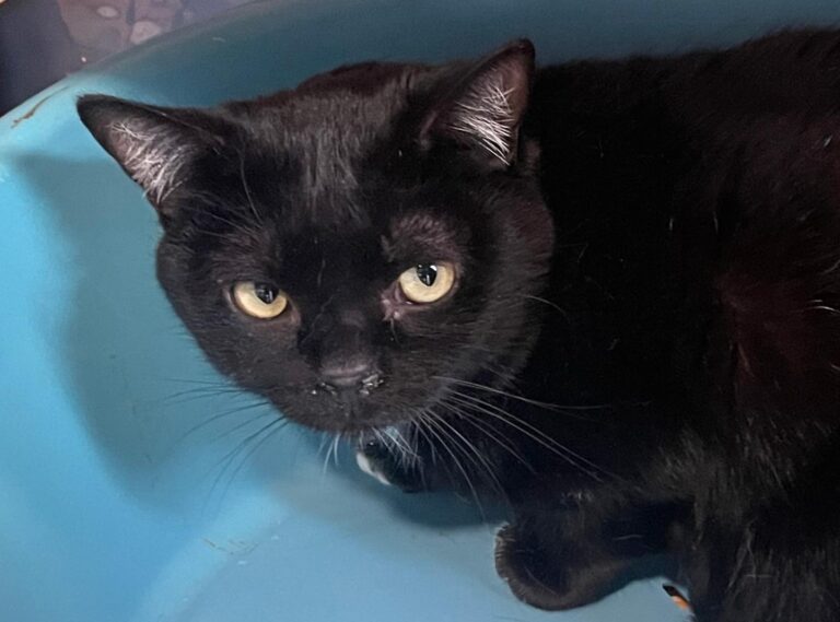 multimedia-foto87009-643-1