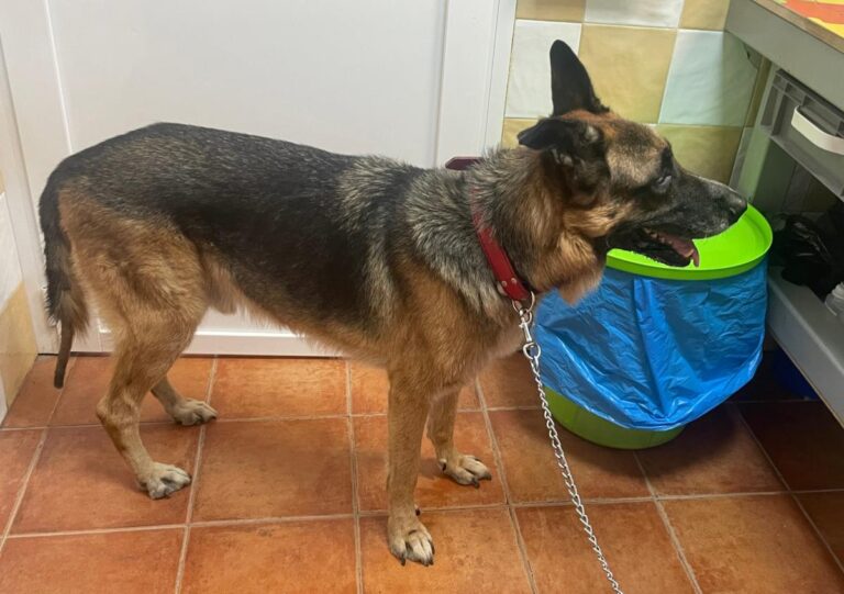 multimedia-foto87038-816-1