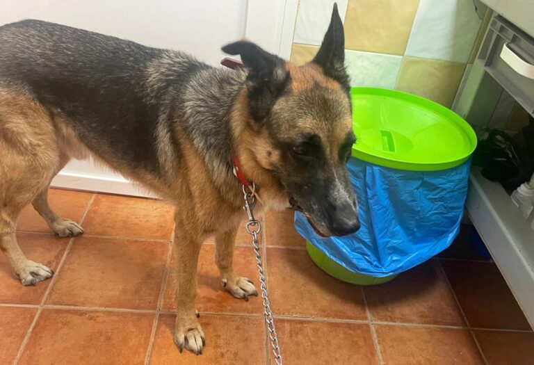 multimedia-foto87039-816-1