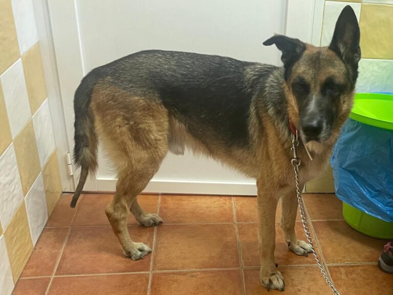 multimedia-foto87040-816-1