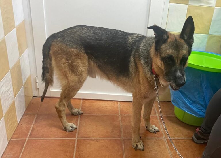 multimedia-foto87041-816-1