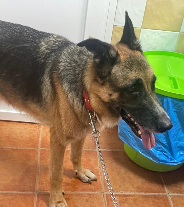 multimedia-foto87042-816-1