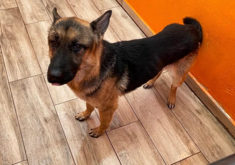 multimedia-foto87046-749-1