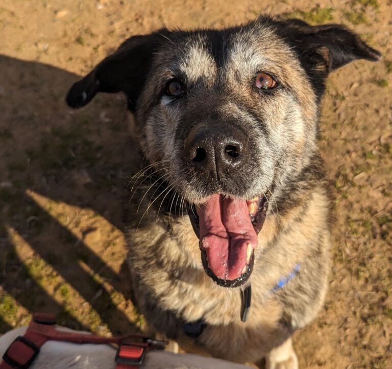 multimedia-foto87054-518-1