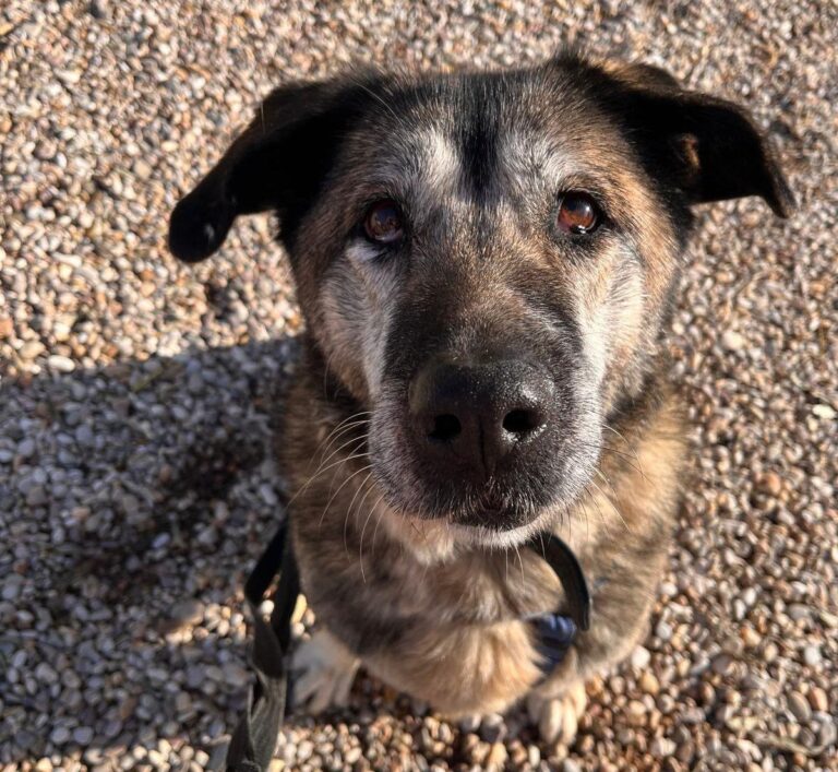 multimedia-foto87055-518-1