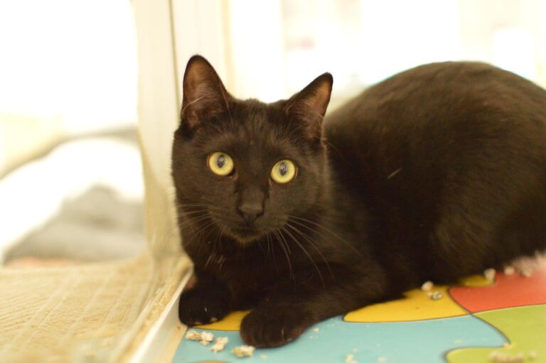 multimedia-foto87061-57-1