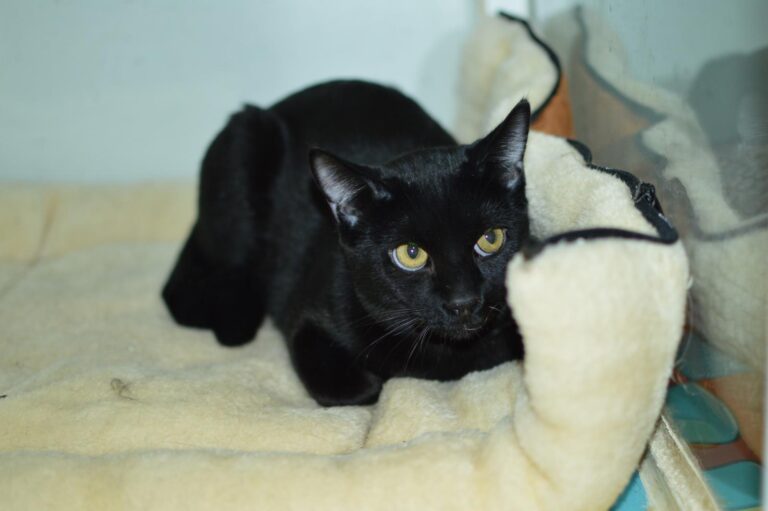 multimedia-foto87131-535-1