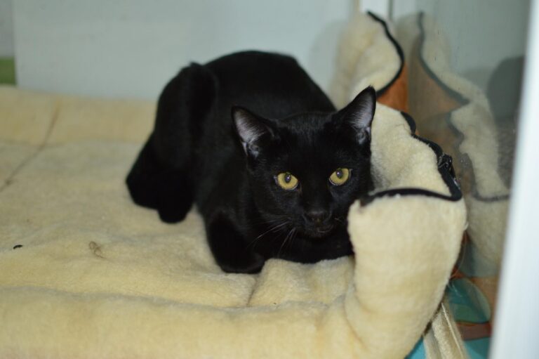 multimedia-foto87132-535-1