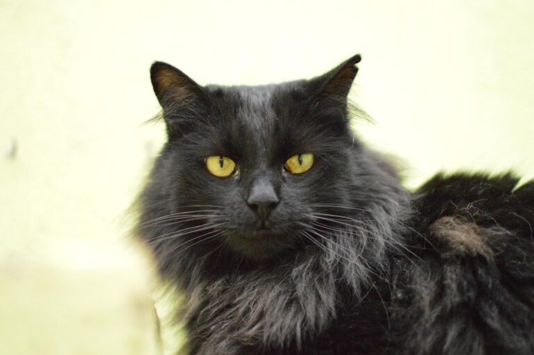 multimedia-foto87134-624-1