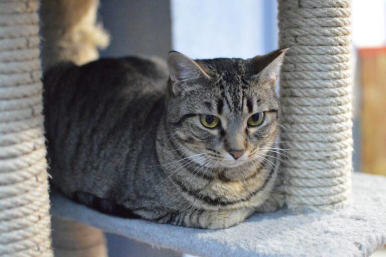 multimedia-foto87140-145-1