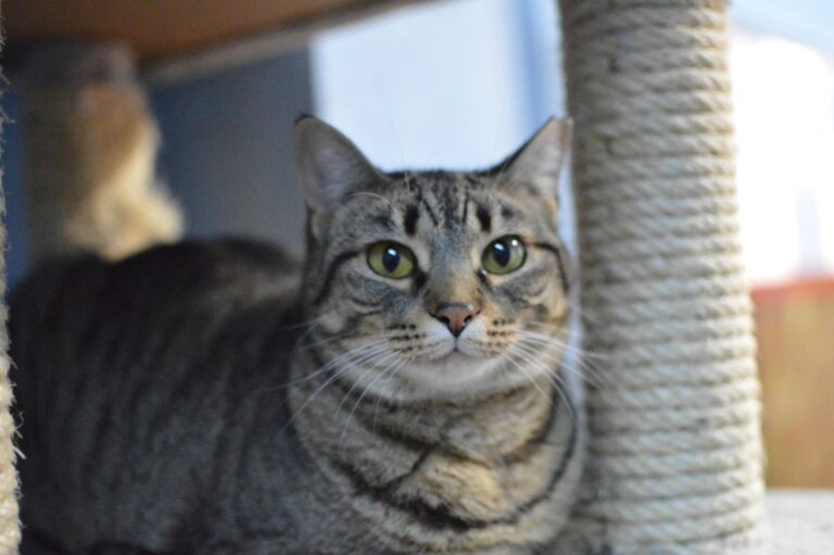 multimedia-foto87141-145-1