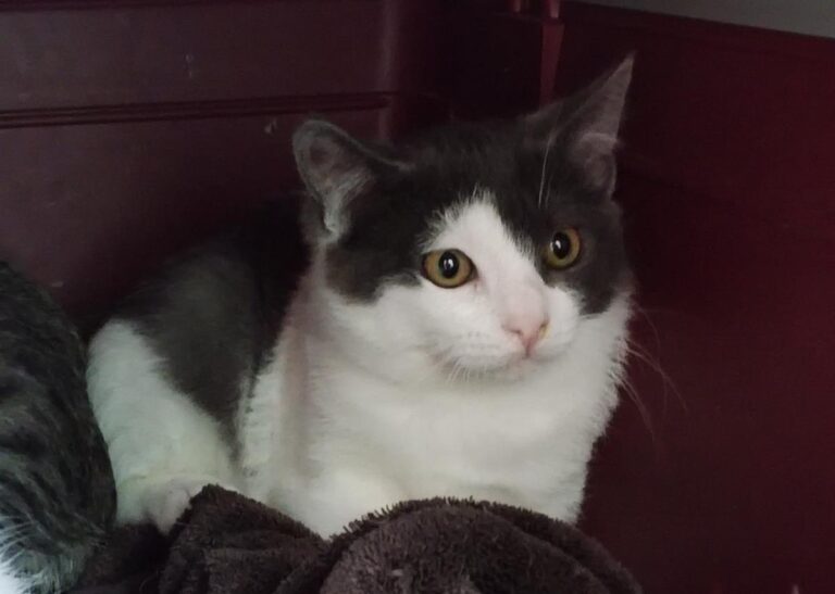 multimedia-foto87183-170-1