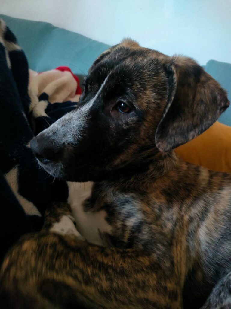 multimedia-foto87207-141-1