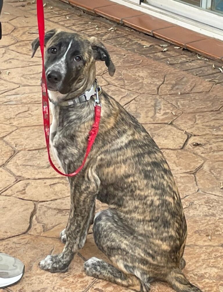 multimedia-foto87210-141-1