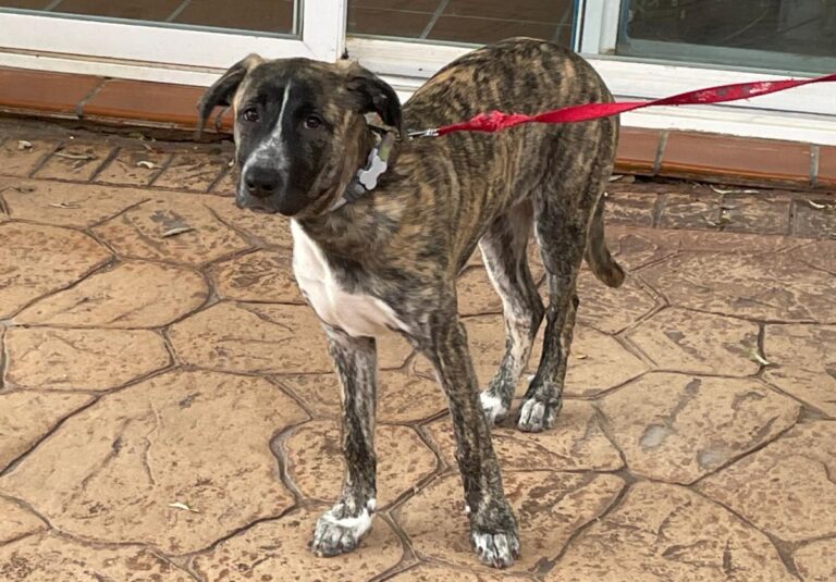 multimedia-foto87211-142-1